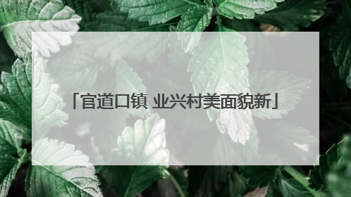 官道口镇 业兴村美面貌新
